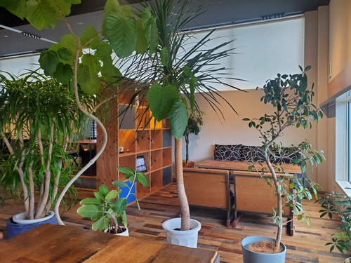 時間を忘れるカフェ「Cafe SoRAのいろ」 時間を忘れるカフェ「Cafe SoRAのいろ」