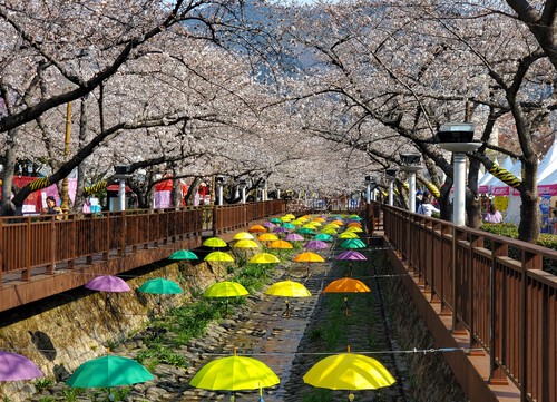 釜山観光と韓国料理 釜山観光と韓国料理
