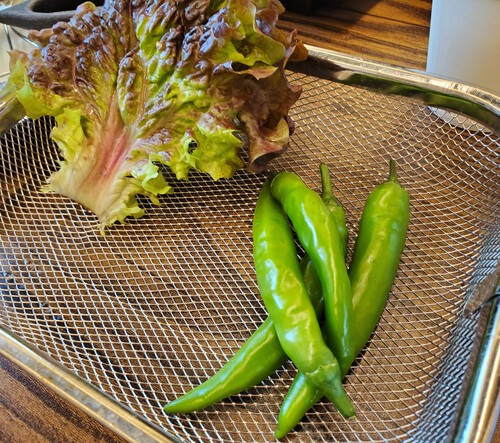 釜山観光と韓国料理 釜山観光と韓国料理