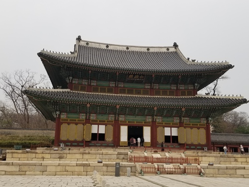 韓国桜旅情、街が桜の中に埋もれていた。 韓国桜旅情、街が桜の中に埋もれていた。