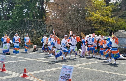 桜と阿波踊りを堪能した週末 桜と阿波踊りを堪能した週末