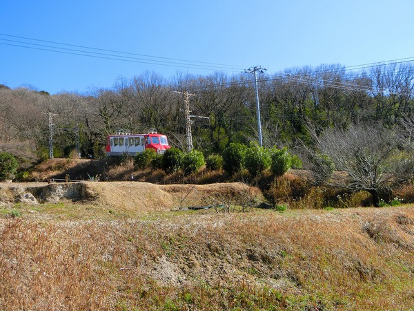 八栗さんには仏様と神様が仲良くいらっしゃる。 八栗さんには仏様と神様が仲良くいらっしゃる。