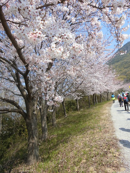 天空の鳥居と七宝山縦走 天空の鳥居と七宝山縦走