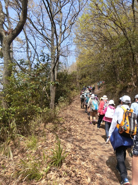 天空の鳥居と七宝山縦走 天空の鳥居と七宝山縦走