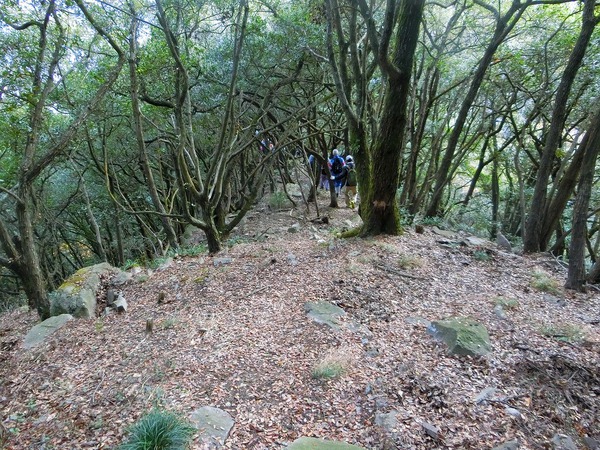 今回の屋島登山は、四輪駆動 今回の屋島登山は、四輪駆動