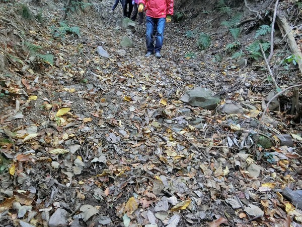 今回の屋島登山は、四輪駆動 今回の屋島登山は、四輪駆動