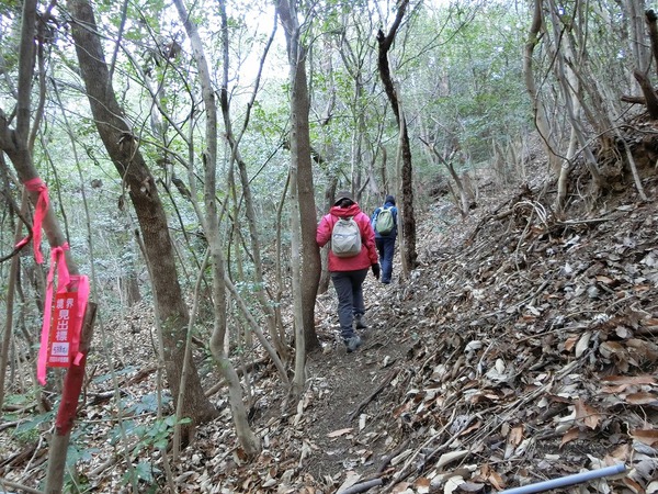 スーパームーンと屋島冠岳登山 スーパームーンと屋島冠岳登山