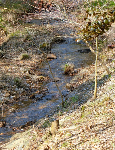 香川県の居間の温度が日本一低い? 香川県の居間の温度が日本一低い?