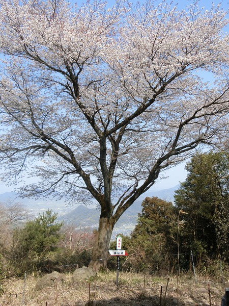 天空の鳥居と七宝山縦走 天空の鳥居と七宝山縦走