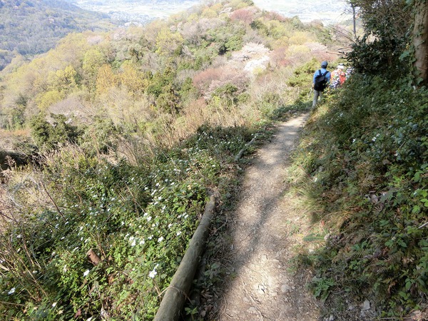 天空の鳥居と七宝山縦走 天空の鳥居と七宝山縦走