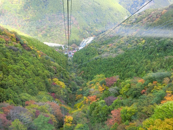 石鎚山成就社に行きたかったのに・・・ 石鎚山成就社に行きたかったのに・・・