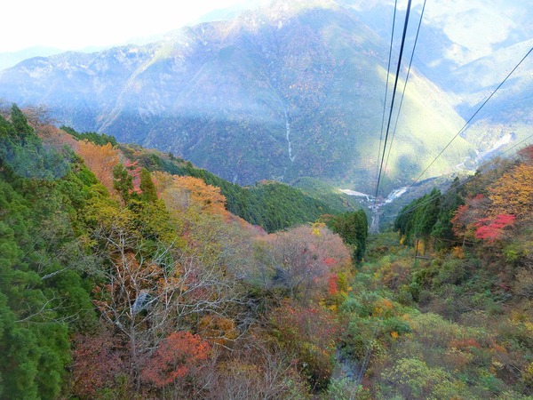 石鎚山成就社に行きたかったのに・・・ 石鎚山成就社に行きたかったのに・・・