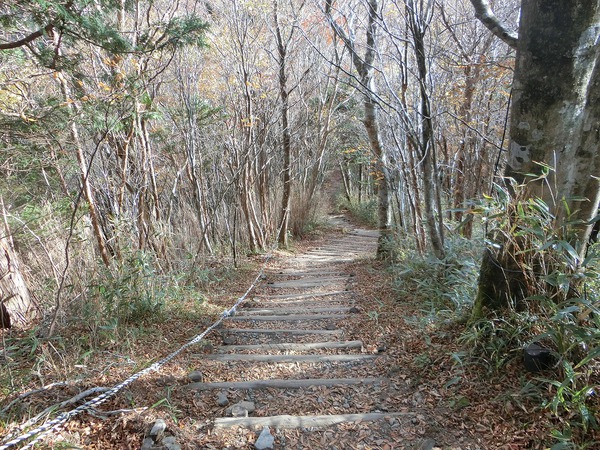 石鎚山成就社に行きたかったのに・・・ 石鎚山成就社に行きたかったのに・・・