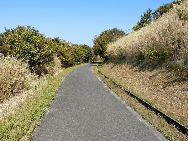 みんな行くところは同じだね。 みんな行くところは同じだね。