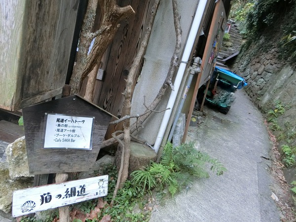プリティな猫の細道 プリティな猫の細道