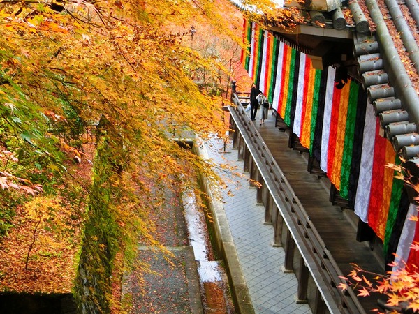 日本の紅葉名所ランキング１位の永観堂