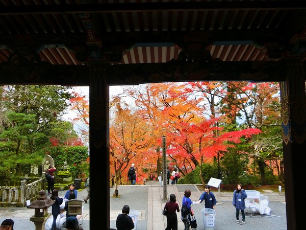 日本の紅葉名所ランキング１位の永観堂