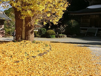 お土産付きに目がくらんでツアーに参加 お土産付きに目がくらんでツアーに参加