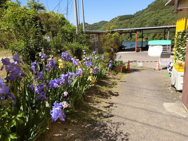 素敵な時間だった。塩江内場ダム湖を一周する。 素敵な時間だった。塩江内場ダム湖を一周する。