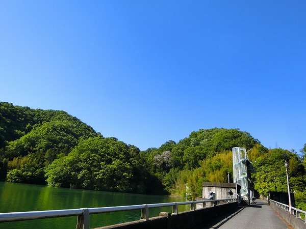 素敵な時間だった。塩江内場ダム湖を一周する。 素敵な時間だった。塩江内場ダム湖を一周する。