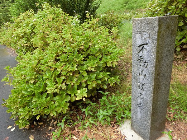 やさしい「かをると紫陽花物語」 やさしい「かをると紫陽花物語」