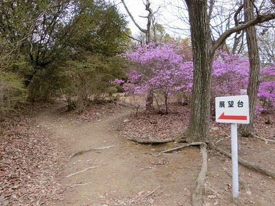 志村けんさんの訃報で・・・峰山公園 志村けんさんの訃報で・・・峰山公園