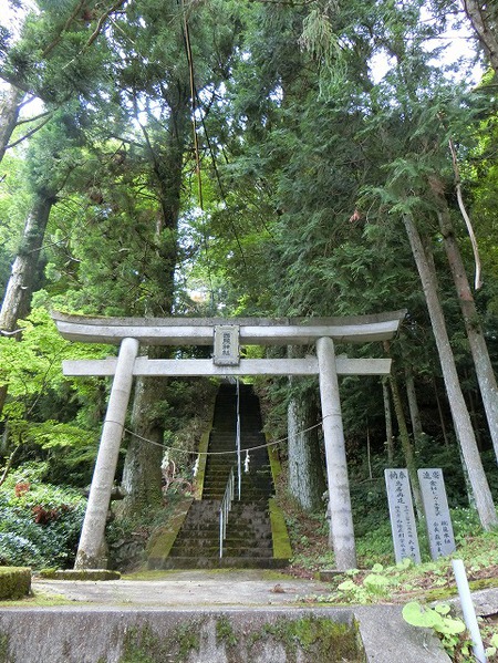怖い!怖い!!もうこんな思いはしたくない。 怖い!怖い!!もうこんな思いはしたくない。