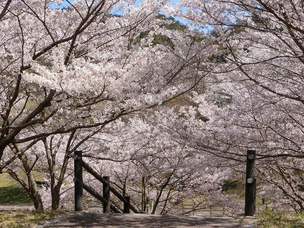 今日の田舎暮らしは、最高 今日の田舎暮らしは、最高
