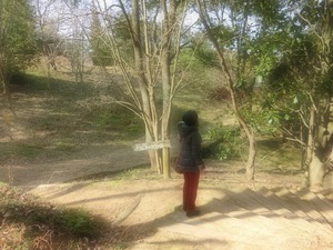 ぶらり散歩の向こうには ぶらり散歩の向こうには