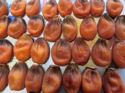 干し柿を来夏に美味しく食べるためには・・・ 干し柿を来夏に美味しく食べるためには・・・