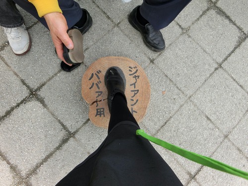 おハゲ様に磨いていただきました。 おハゲ様に磨いていただきました。