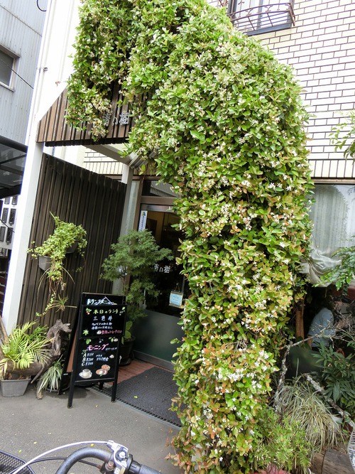 今日のランチは、大勢でcafe 青い樹 今日のランチは、大勢でcafe 青い樹