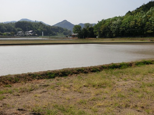 ココロが喜んだ日 ココロが喜んだ日