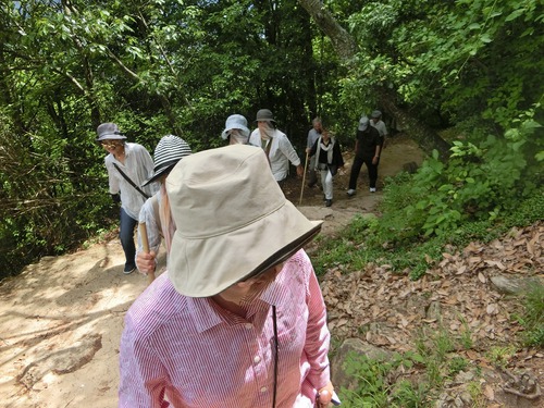 天空の城「備中松山城」 天空の城「備中松山城」