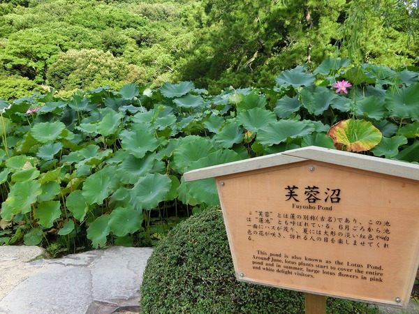 早朝に、二人で出かけたのは 早朝に、二人で出かけたのは