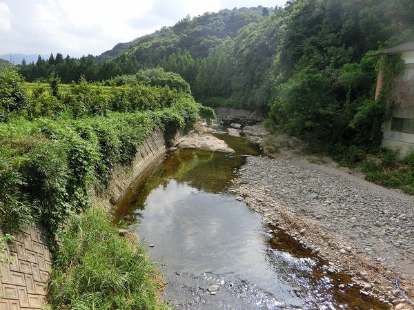アユを炭火で焼いて食べる「綾川町アユ養殖場」 アユを炭火で焼いて食べる「綾川町アユ養殖場」