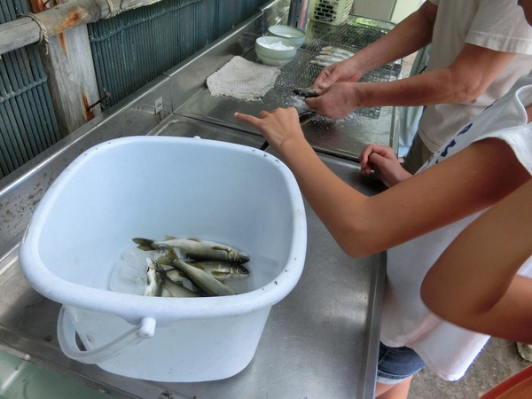 アユを炭火で焼いて食べる「綾川町アユ養殖場」 アユを炭火で焼いて食べる「綾川町アユ養殖場」