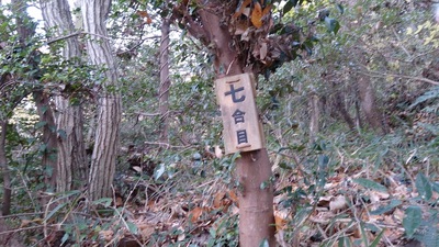 甘く見たのが間違い