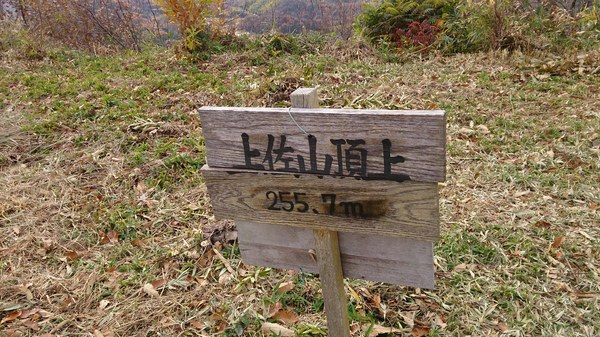 甘く見たのが間違い
