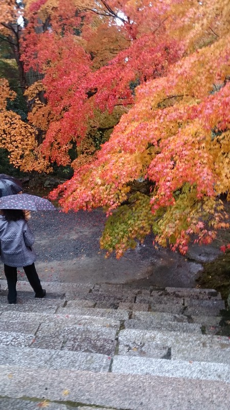 ぐるっと京都の秋「神護寺」