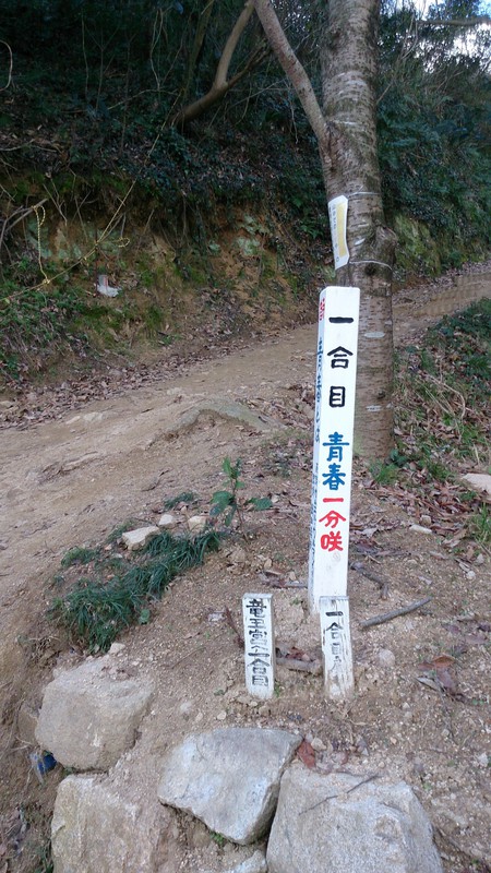 青春を登る。