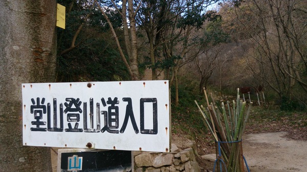 青春を登る。