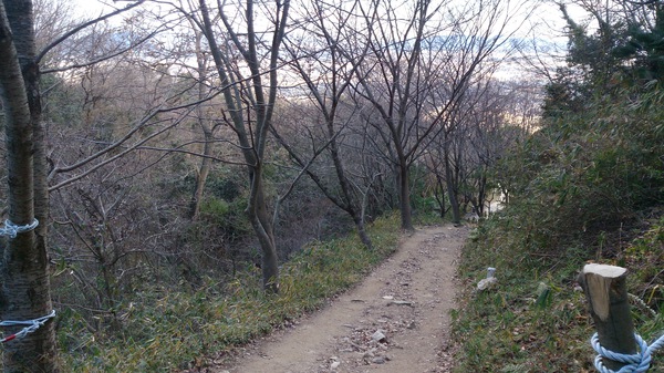 青春を登る。