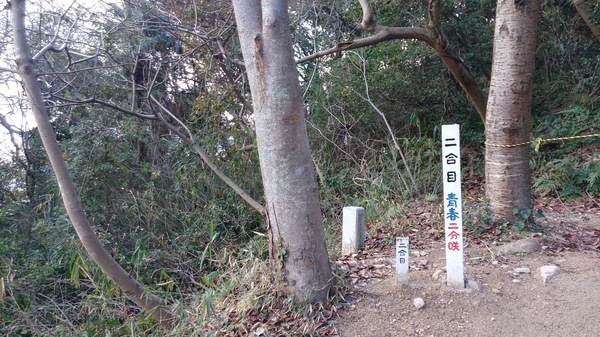 青春を登る。