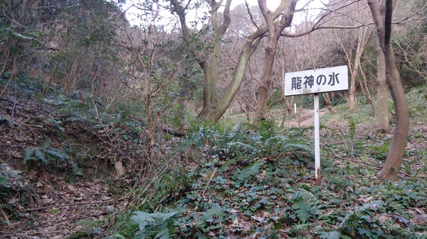 青春を登る。