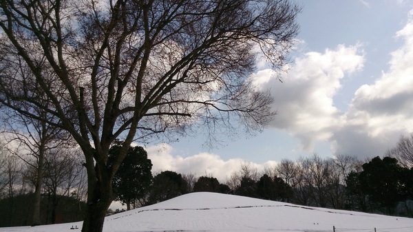 I love snow flower