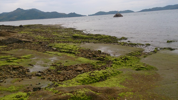 しまなみ海道の島めぐり