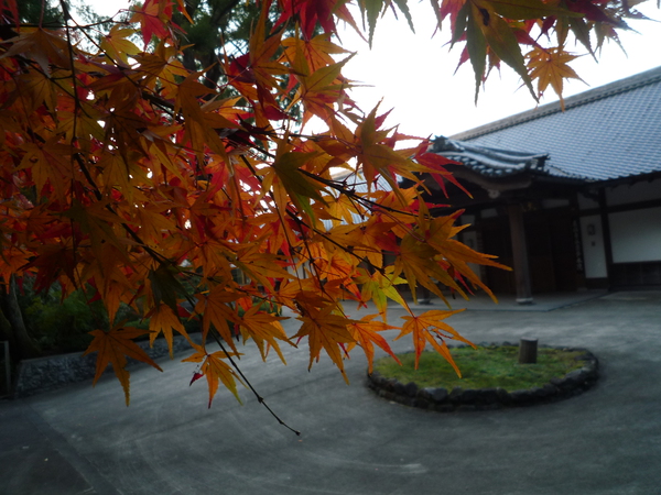 秋深しin京都『東福寺』