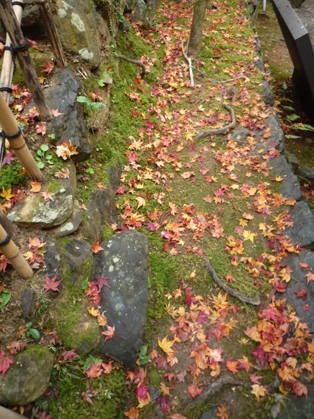 ぐるっと京都の秋「高山寺」