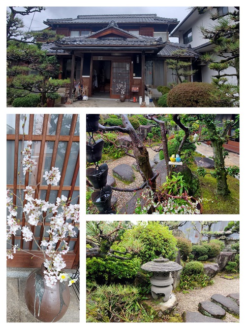 「春の草花ままごと時間」その二 「春の草花ままごと時間」その二